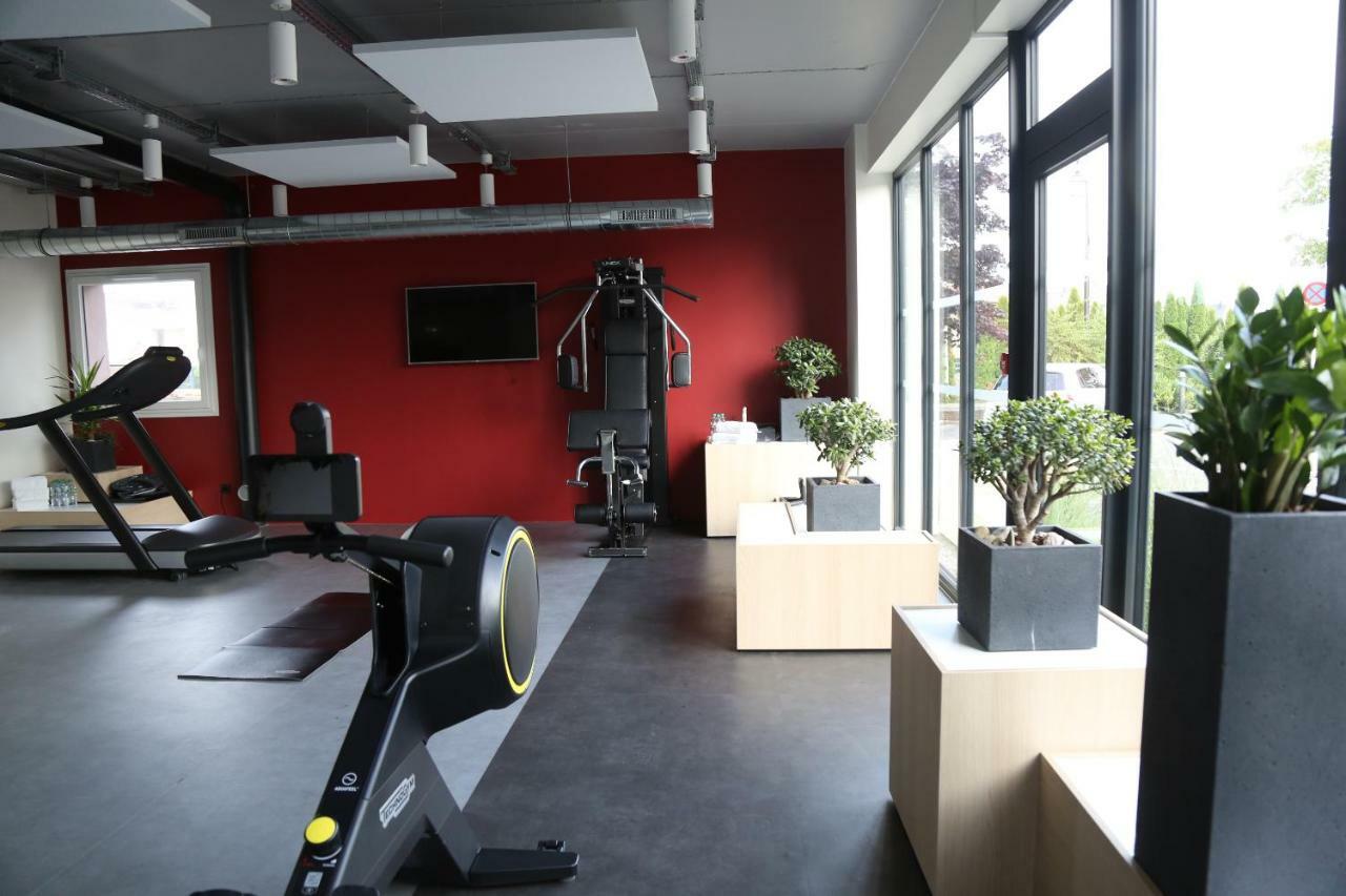 Ibis Styles Bale-Mulhouse Aeroport Hotel Blotzheim Exterior photo